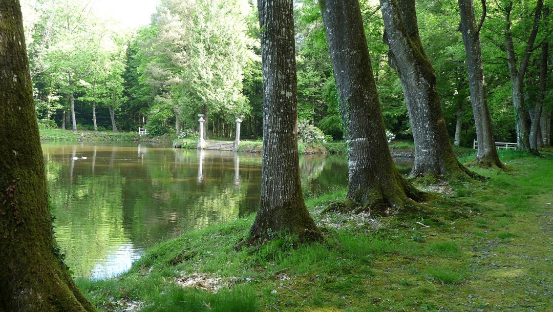 Val D'izé – 35450 Val Dize 04