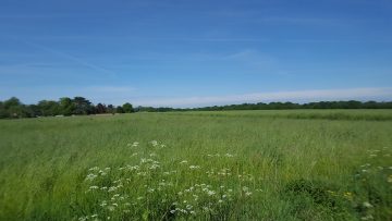 Hénouville - Acanthe terrain