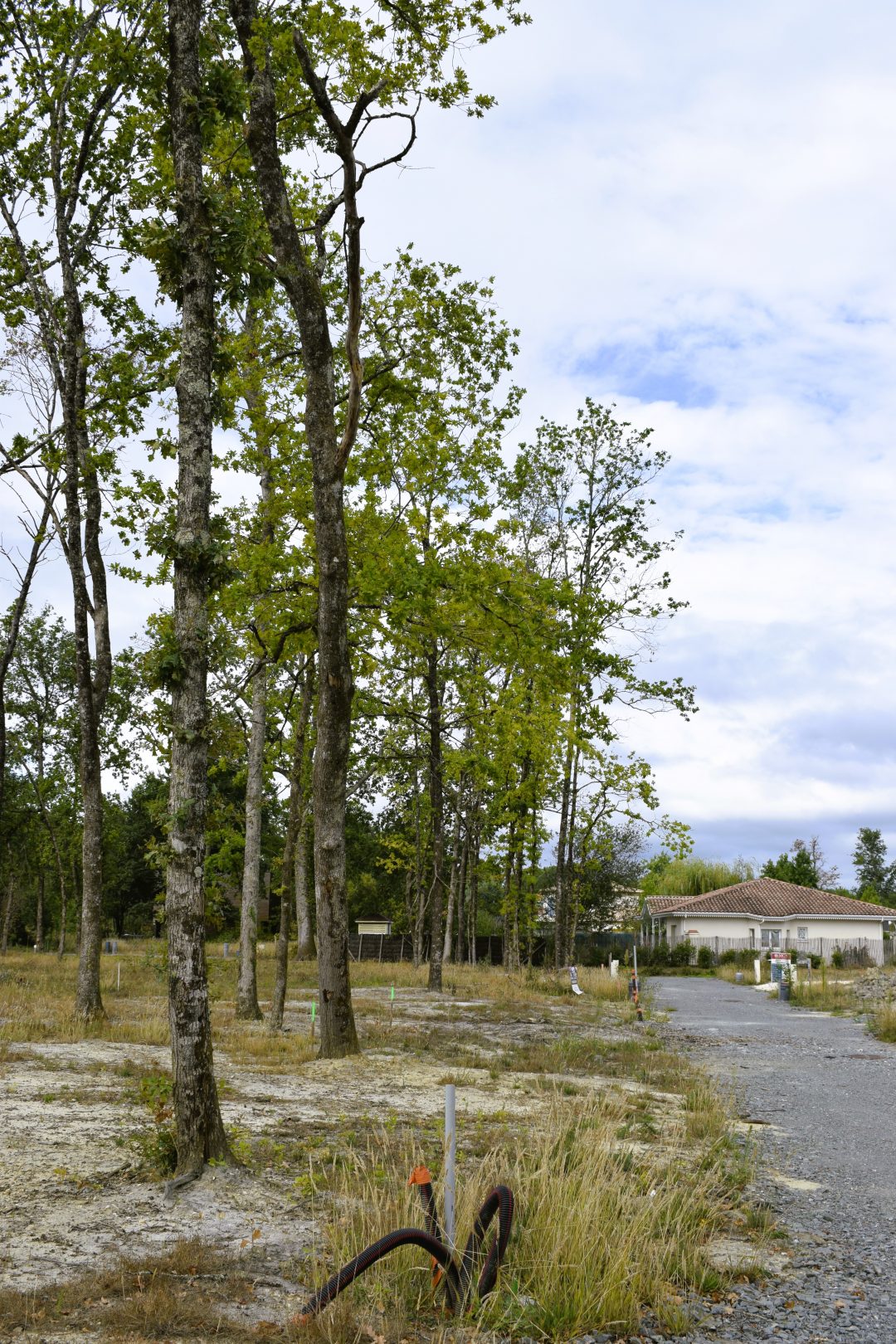 Arsac Le Clos Des Bois