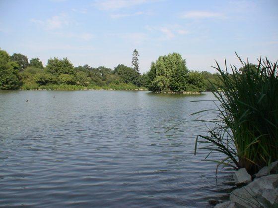 Etang De Châteaugiron