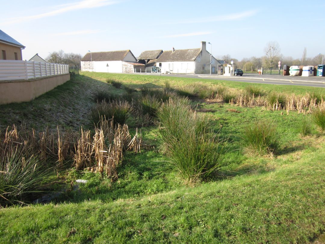 Fatines - Acanthe terrain - bassin de rétention