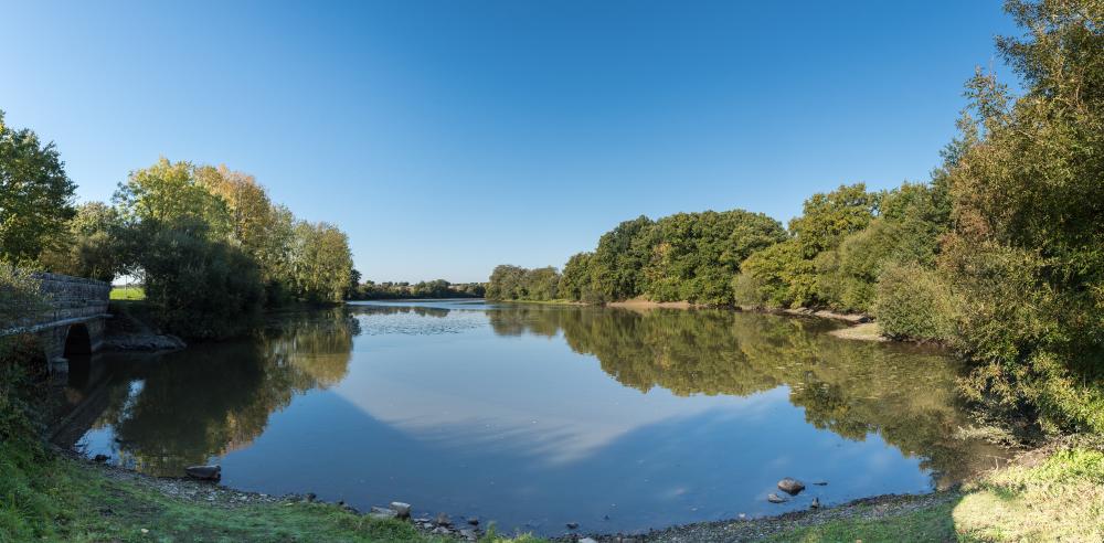 France, Ille Et Vilaine (35), Martigné Ferchaud, L'étang