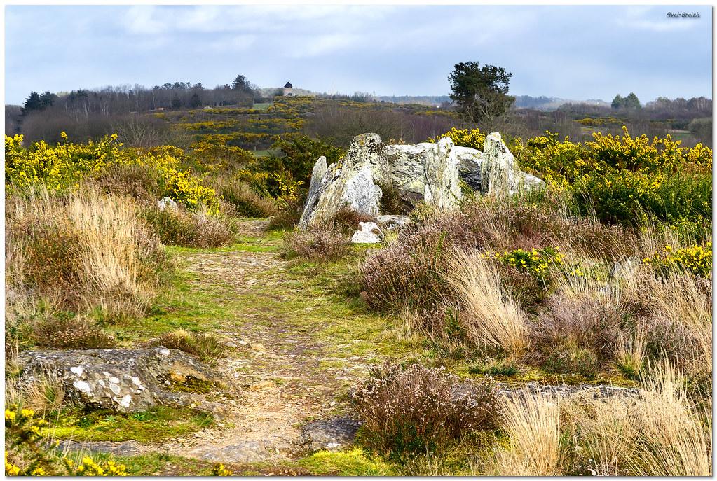 Terrains à vendre à Pipriac 35