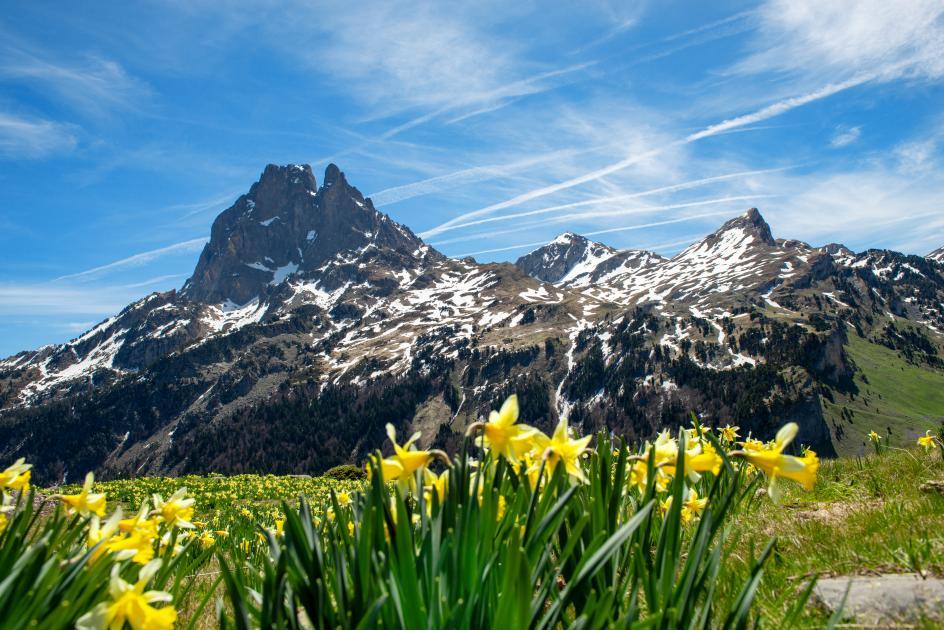 Pyrenees Atlantiques Lons