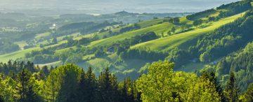 Valognes