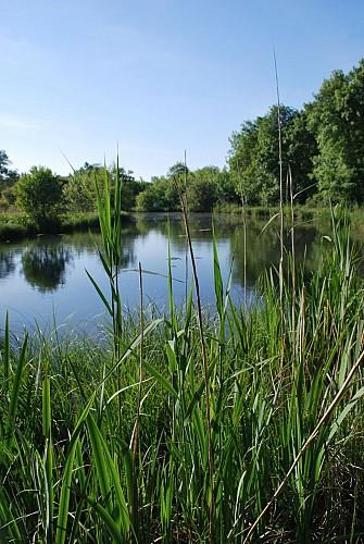 Pignac Et Marcamps Terrain