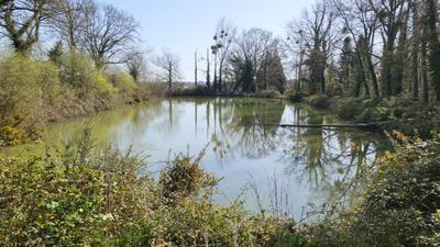 Montreuil Le Gast 2