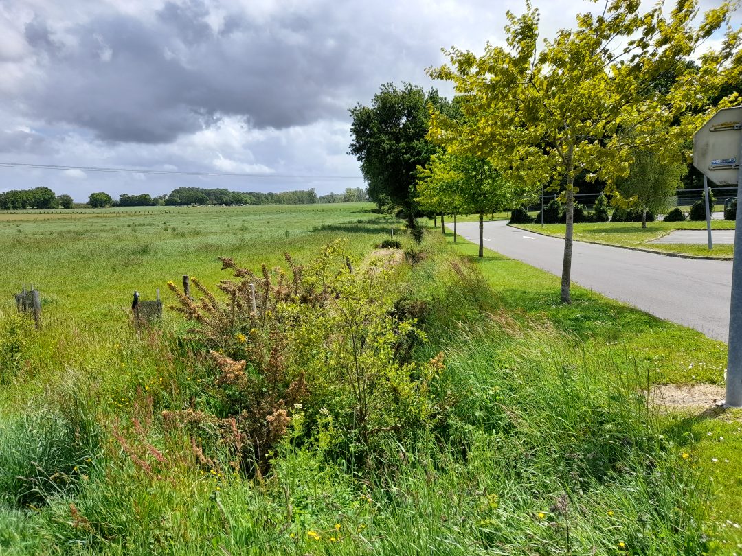 Terrains à vendre à Dol-de-bretagne