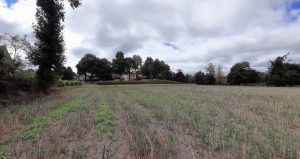 Saint-guyomard - morbihan - Acanthe terrain 