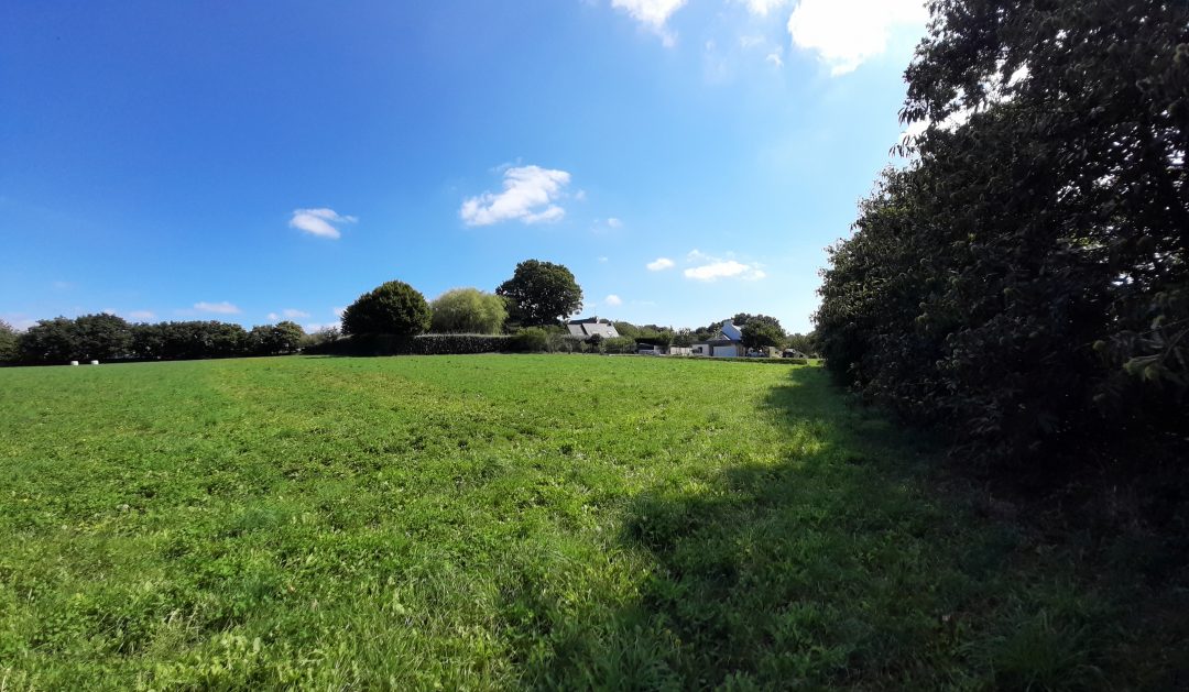 Foret fouesnant - Acanthe terrain