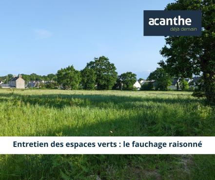 Fauchage raisonné - Acanthe terrain