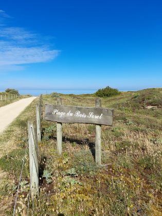 Notre Dame De Monts - Acanthe terrain