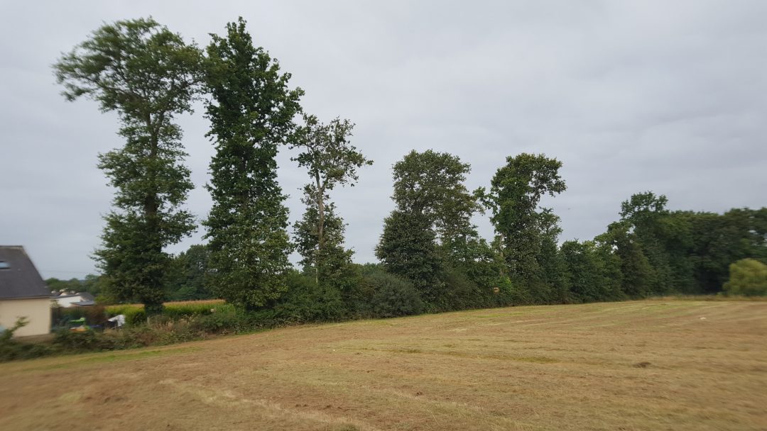 Terrains à vendre à Guignen - Acanthe