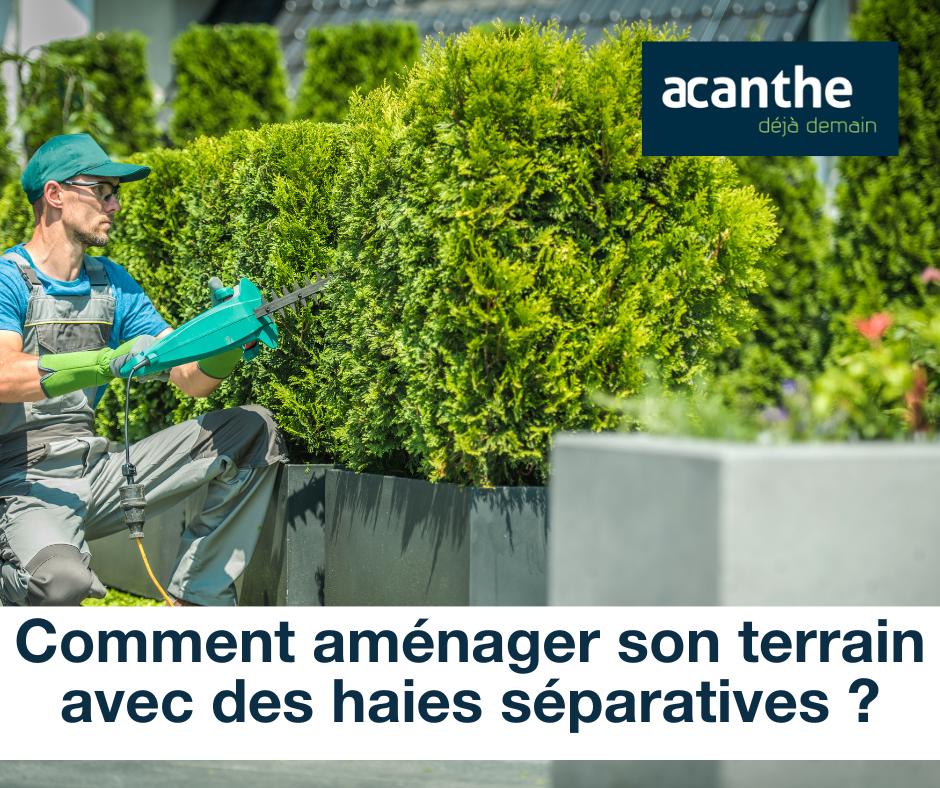 Comment aménager son terrain avec des haies séparatives ? - Acanthe terrain