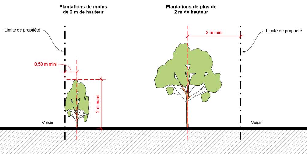 Plantations Distance Hauteur 1