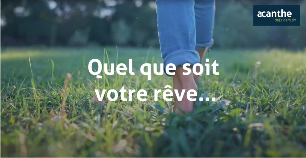 Acanthe Quelque Soit Votre Reve