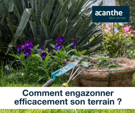 Comment engazonner efficacement son terrain ? - Acanthe terrain