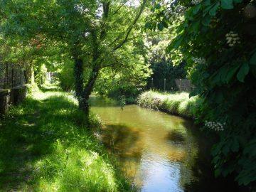Foret Pont L'abbe D'arnoult