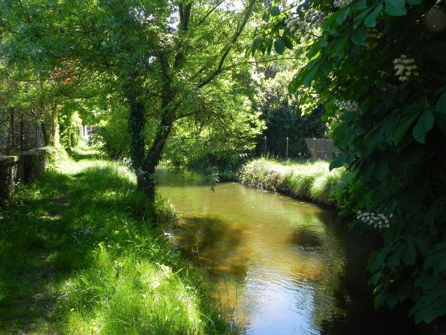 Foret Pont L'abbe D'arnoult