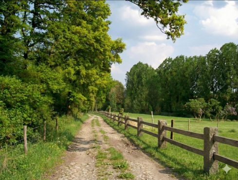 Chemin d’accès illustrant une servitude de passage entre deux terrains ruraux