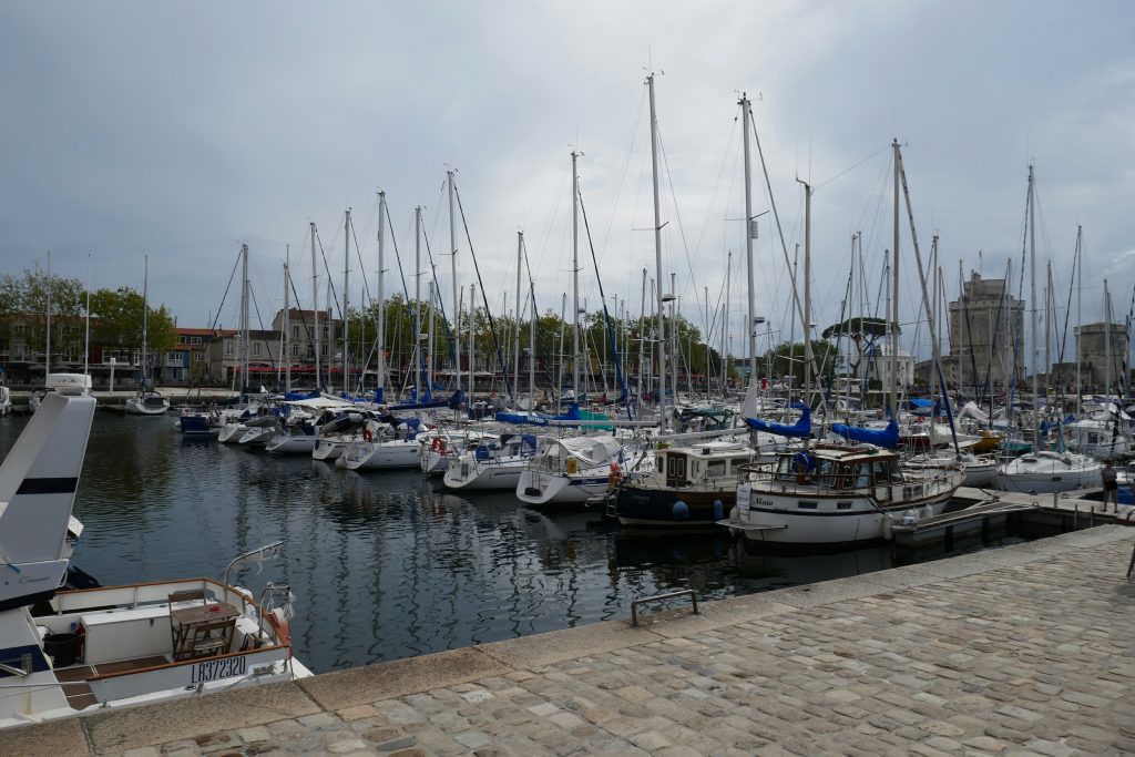 Article Acanthe Charente Maritime 2