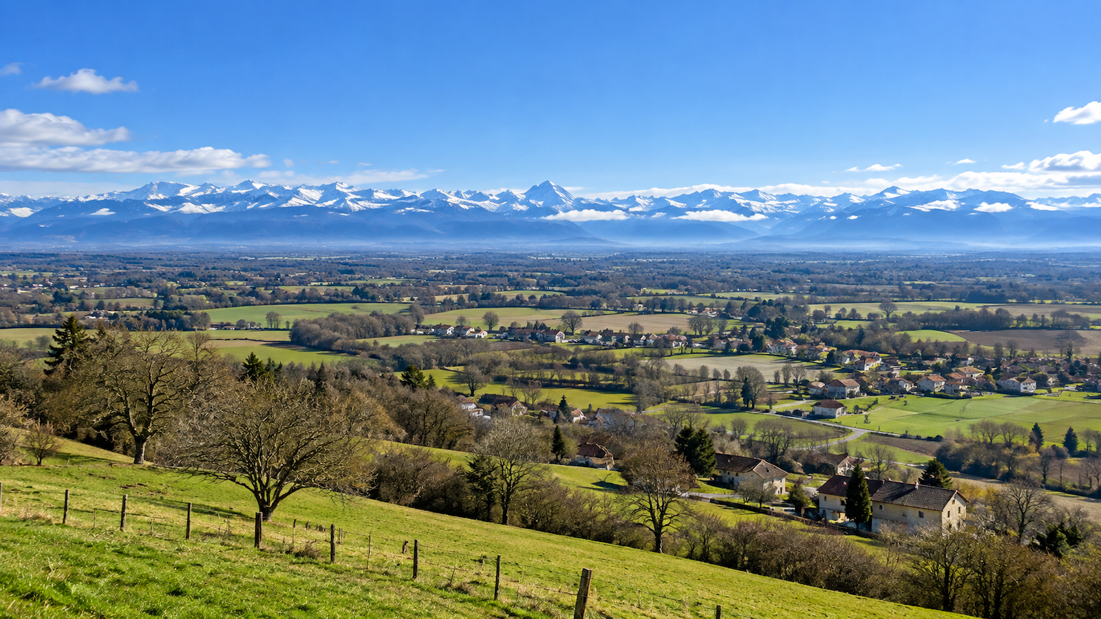 Vivre A Serres Castet Acanthe 1